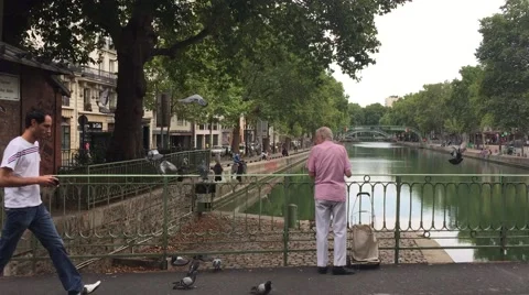 Old man feeding pigeons on a bridge over Canal Saint Martin Stock Footage 55516640