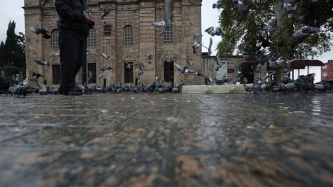 An old man feeds pigeons in front of Emir Sultan Mosque, Bursa, Turkey Stock Footage 119908265