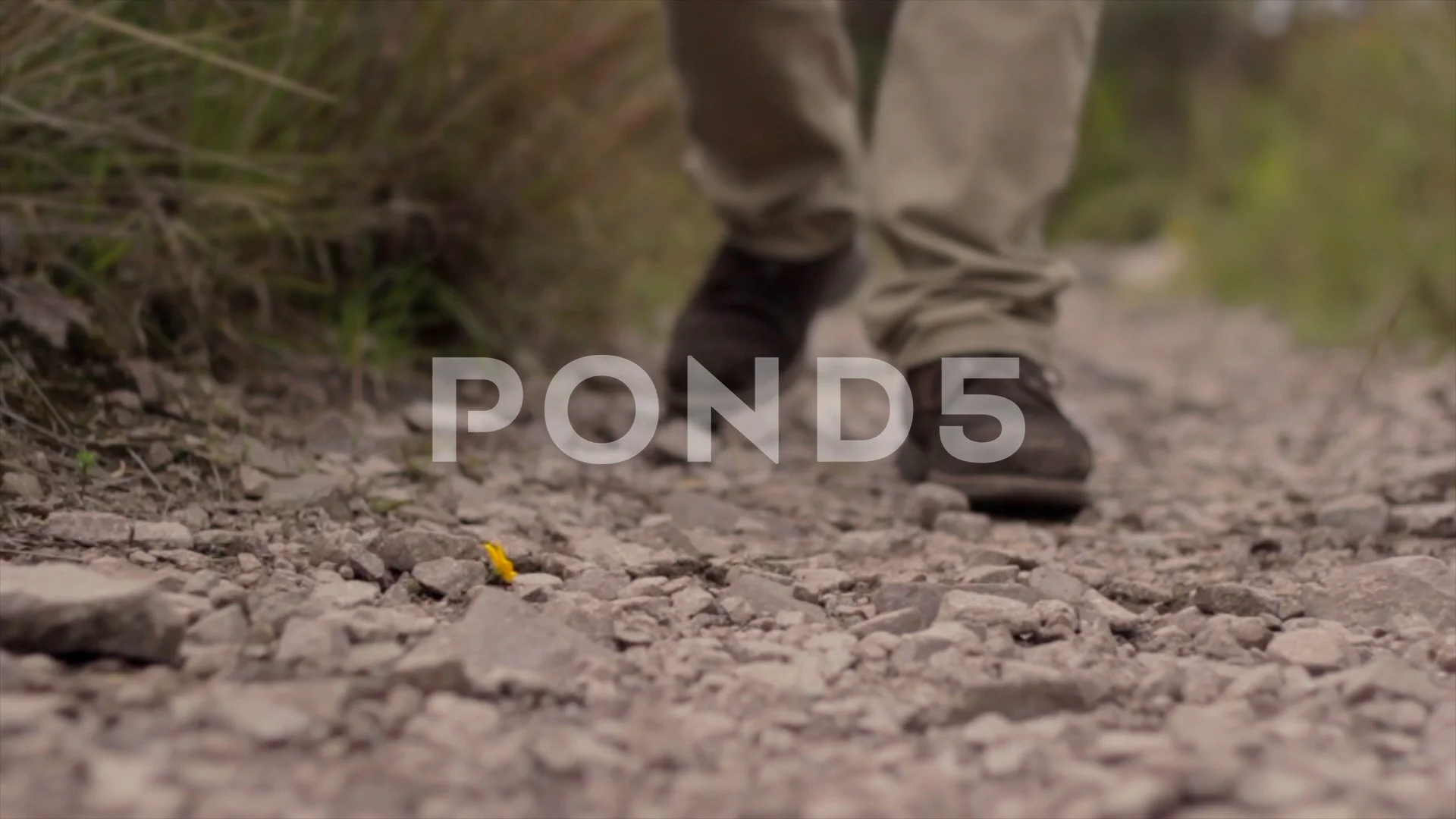 Old man feet with elegant shoes walking the stone forest path