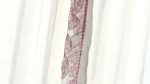Old man in glasses opens curtains and looks outside window Video stock 135439416