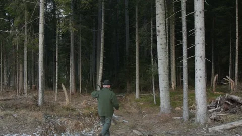 Old man going in a forest with shears Stock Footage 314858045