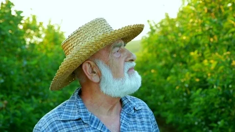 An old man with a gray beard looks into the sky. Green orchard on the background Stockbeeldmateriaal 78023790