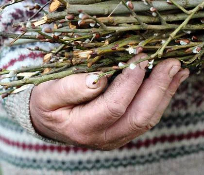 Old man hand Stock Photos