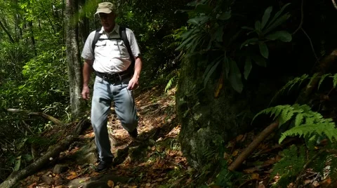 Old Man Hiking Through Forest Alone Stock Footage 42133152