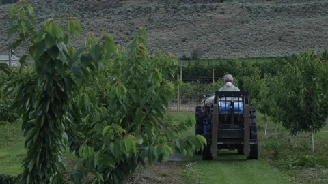 An old man with insecticide Stock Footage 99994816