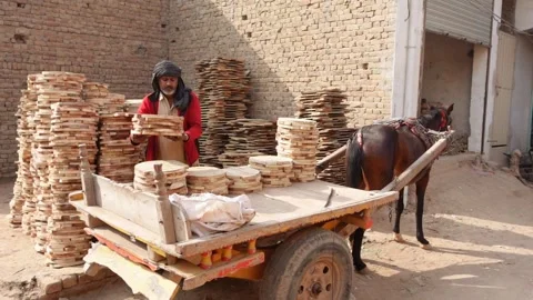 Old Man Loading Wooden Material On Horse Cart: Sillanwali, Pakistan 31 Dec 2025 Vídeos de archivo 325437791