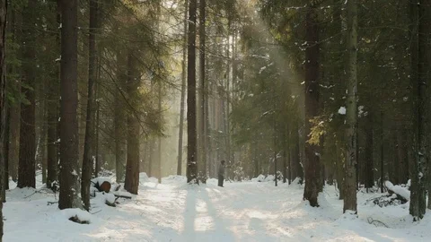 Old man makes sit-ups in the snowy winter forest Stock-Footage 73896704