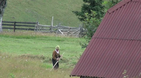 Old man mowing the hay on the meadow, field, feed, pasture, farmer Stock Footage 30939379