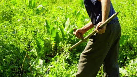 An old man mows the grass in the field with a scythe. Stock Footage 253804570