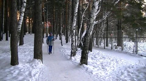  	Old man nordic walking in winter park Stock Footage 59512936