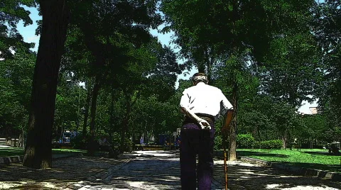 Old man in park Stock Footage 663283