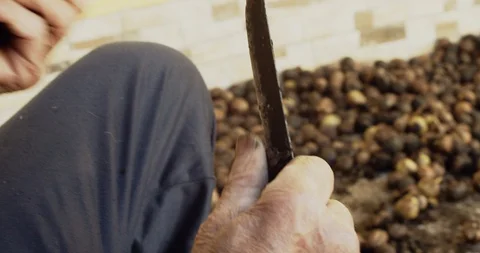 Old Man Peels Walnuts With Knife Stock-Footage 125937594