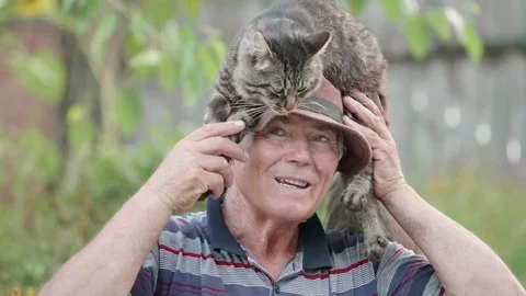 Old man playing with fluffy cat, arrange pet on his head, outdoor Stock Footage 79039667