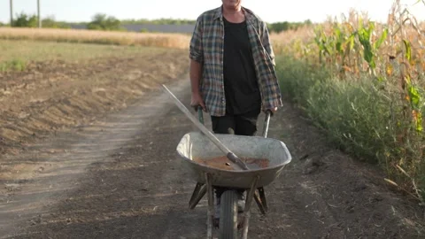 Old Man Pushing Wheelbarrow Along Rural Road in Farmland Stock Footage 282744253