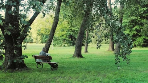 Old man reading on a bench in a park Stock Footage 137823219