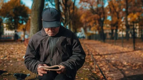 Old Man Reading A Book Outside In Park Video stock 72999016