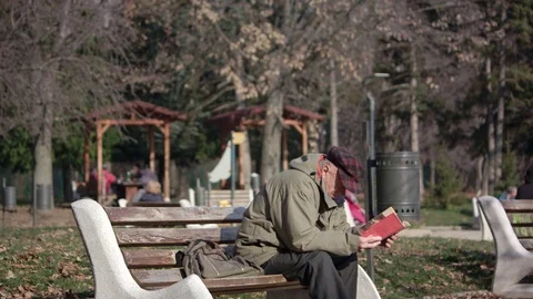 Old man reading a book on a park bench Stock Footage 84688565