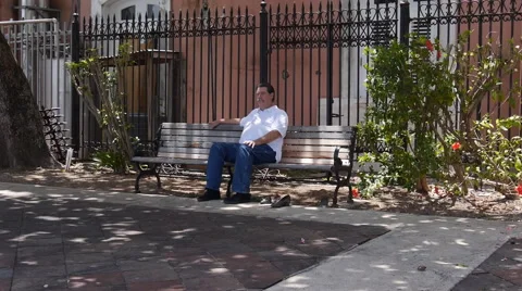 Old man resting in park bench 2 Stock Footage 50536612