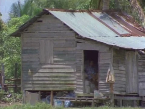 Old man roaming outside a house on a sunny day Stock Footage 79879919