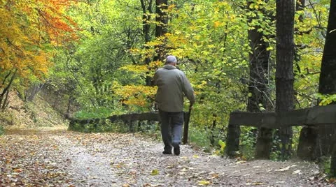 Old man with a rod coming down on autumn alley with colorful leaves Stock Footage 12469355