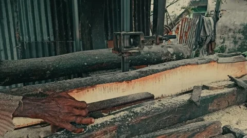Old Man Slice Timber in Chain Sawmill Stock Footage 284924364