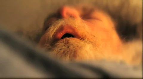 Old Man Snoring 1 Stock Footage 637648