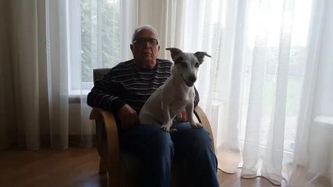 Old man in spectacles sits on chair with dog by window Stock Footage 110834816