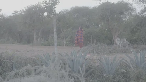 Old Man standing at dusk Stock Footage 90580461