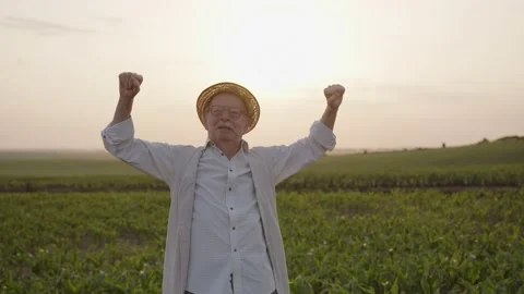 Old man stands on the corn field and makes deep breath Video stock 157710938