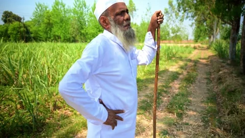 Old Man Talking While Stand At Farmland Stock Footage 293570135
