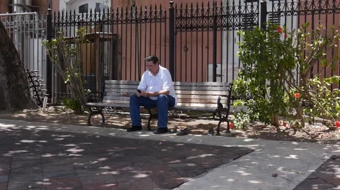 Old man texting text message in park bench with smart phone-cell phone  Stock Footage 50541911
