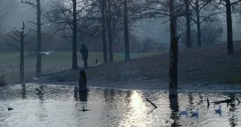 An old man throws food to the ducks in the lake of the city park 库存影片 146995137