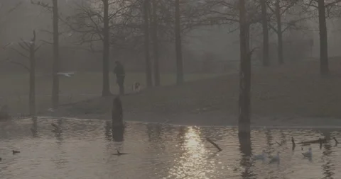 An old man throws food to the ducks in the lake of the city park Stock-Footage 146995851