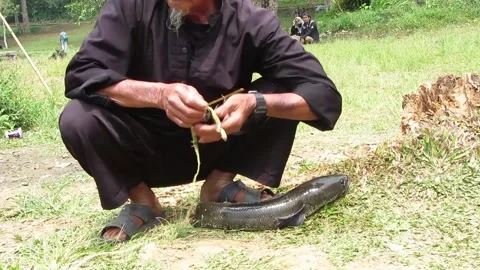 Old Man Ties a big Eel Fish from Situgunung lake, Sukabumi, West Java Stock-Footage 304881825