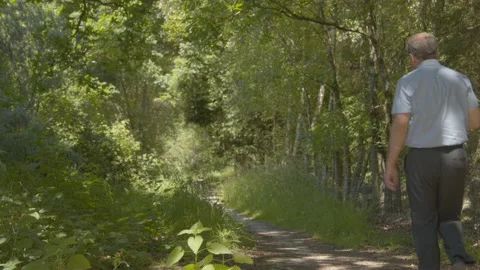 Old Man Walk In Forest 4K UHD Stock-Footage 197389251