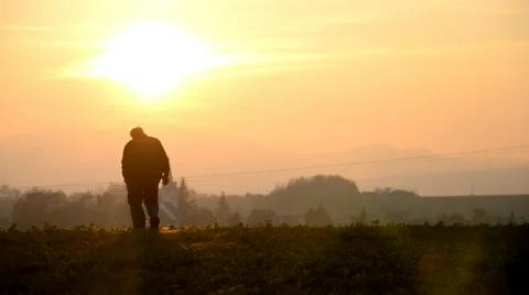 Old man walking across the field to the village at sunset Stock Footage 46785179