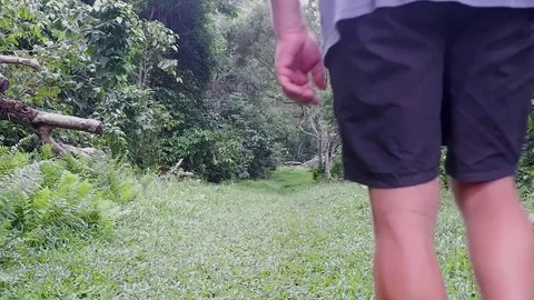 An old man walking alone in the jungle. Video stock 122477158