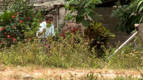 Old man walking with cane in mayan village in Belize Stock Footage 10817022