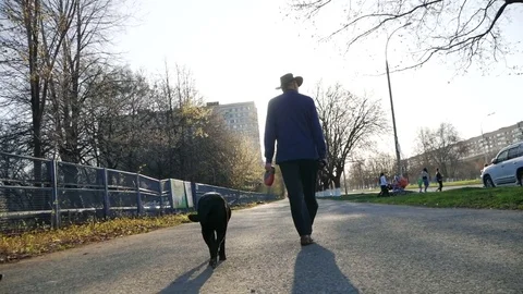 Old man walking with a dog Stock Footage 75826237