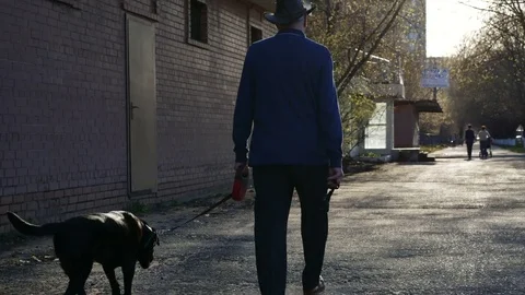 Old man walking with a dog Stock Footage 75826280