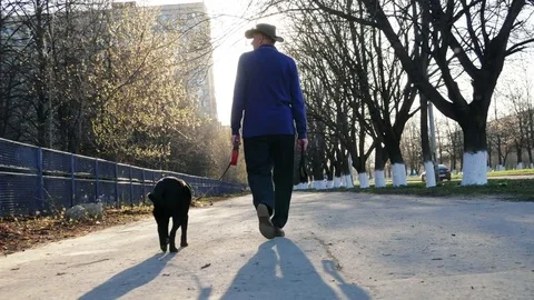 Old man walking with a dog 動画素材 75826298