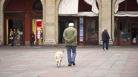 Old man walking dog in Piazza Maggiore, Bologna Italy Stock Footage 141700958