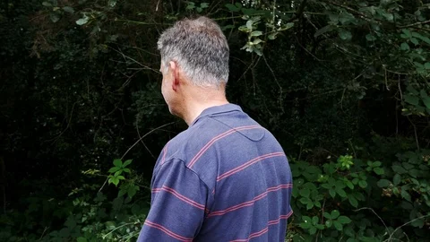 Old man walking in forest Stock Footage 112874316