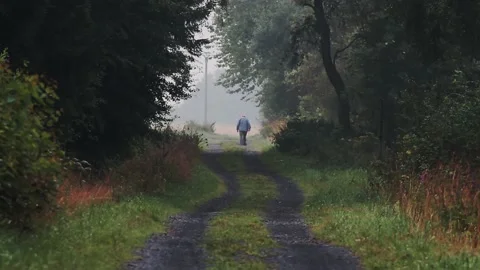 Old man walking in forest Video stock 164847536