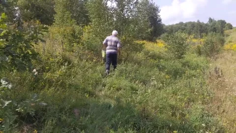 Old man walking in the forest Stock Footage 208065044
