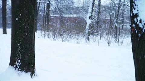 Old man with walking stick in park Video stock 38872484