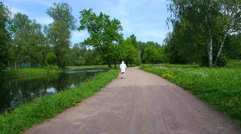 Old man walking in a summer Park Stock Footage 63508592