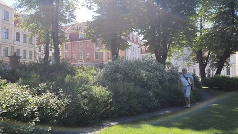 Old man walks along nice alley with green bushes and trees Video stock 112404332