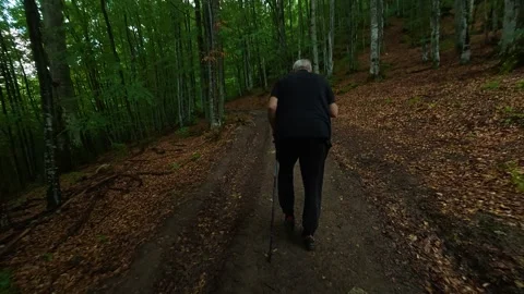 Old man walks slowly through forest trail. Kozji Kamen area, Serbia 스톡 동영상 341876604