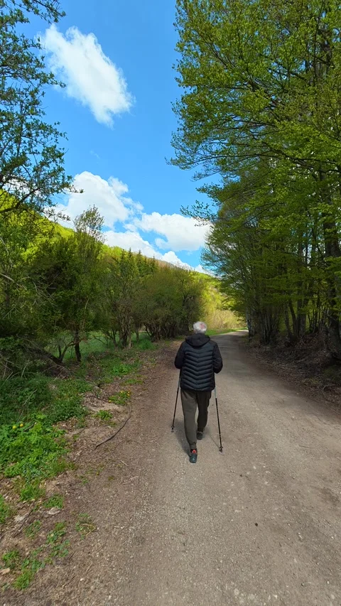 Old man walks slowly, using walking sticks. Tupavica area, Vertical Stock Footage 335947521